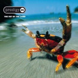 Prodigy - The Fat Of The Land